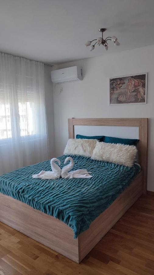 Apartmani Stari Aerodrom 波德戈里察 外观 照片