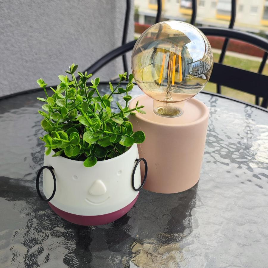 Apartmani Stari Aerodrom 波德戈里察 外观 照片